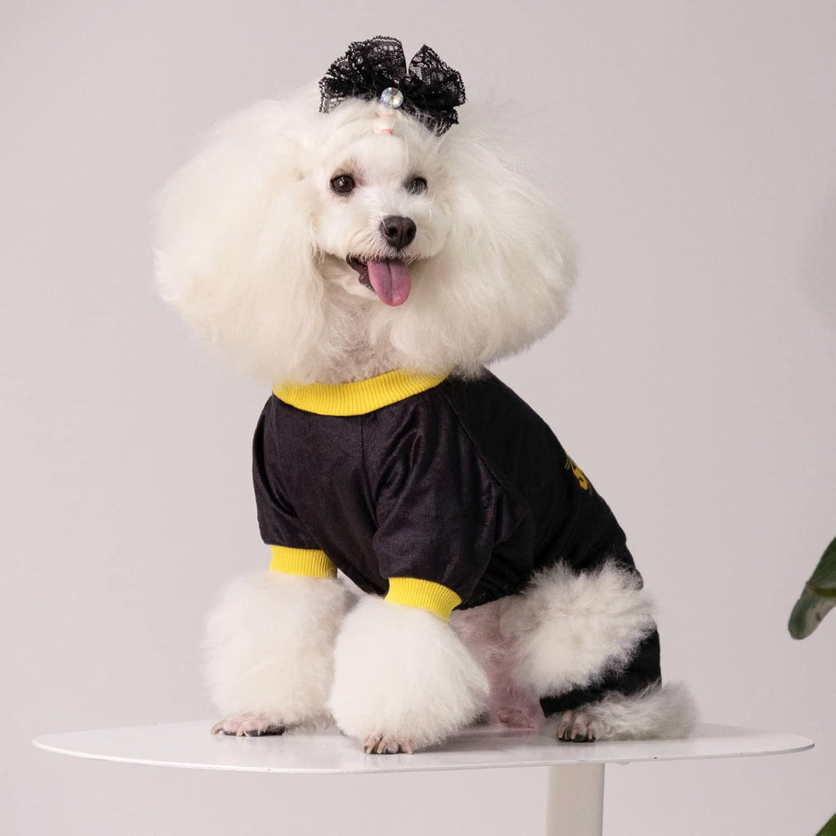 CuteBone Dog Halloween Pajamas Puppy Onesies Small Dogs Soft Pjs Coat Cat Apparel Comfy Pet