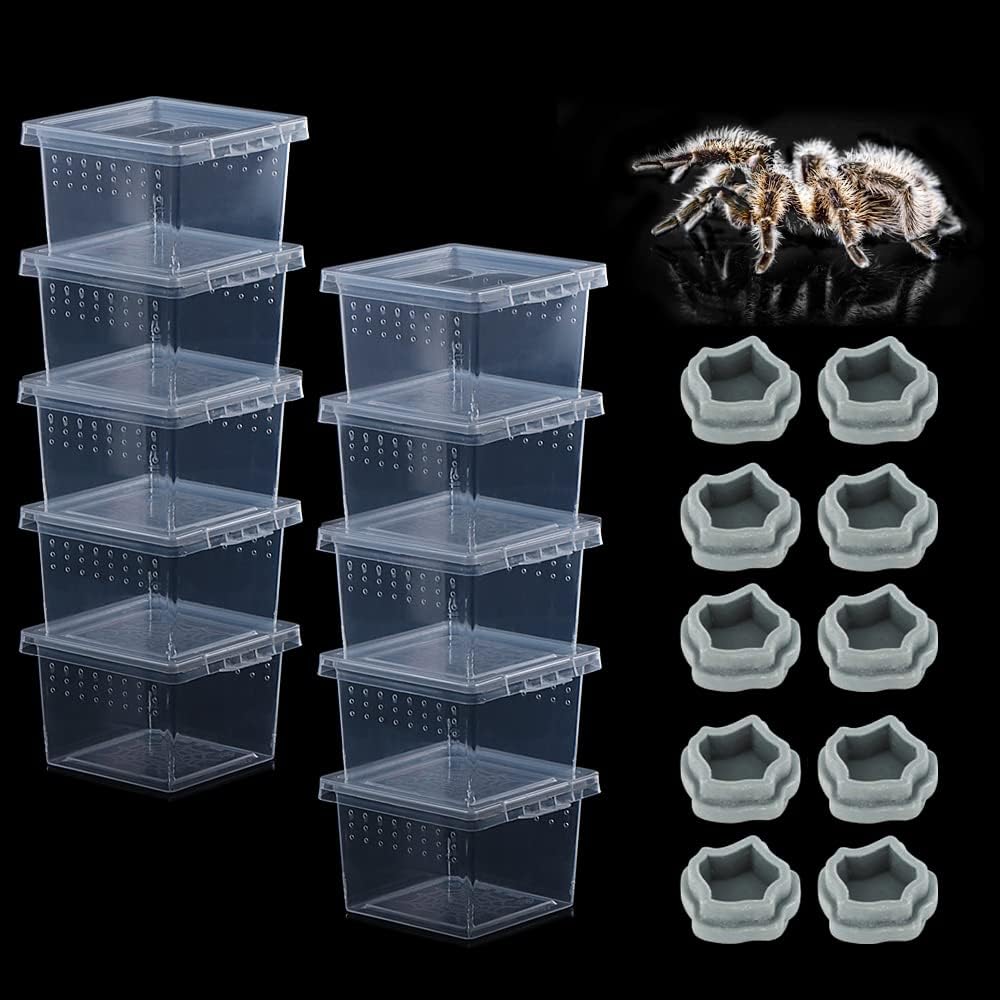 10 Pack Small Size Spider Terrariums Breeding Box Hatching Container Insect Scorpion Centipede