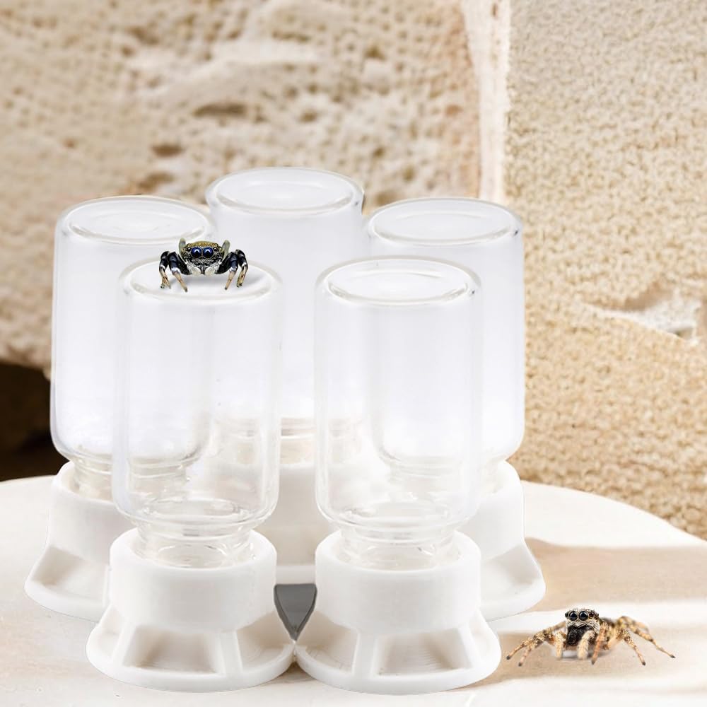5 Pcs Jumping Spider Ant Water Feeder Bee Plastic Water Feeding Tarantula Water Bowl Spider Feeder