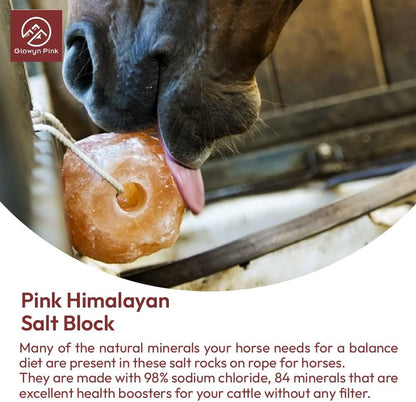 Himalayan Mineral Salt Block on Rope Pack of 4 (3lbs each) – 100% Organic Pink Salt Lick for Horses