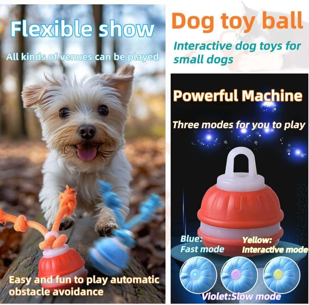 Interactive Dog Toys, Squeaky Dog Toys, Active Rolling Ball for Puppy and Medium Dogs, Squeaky, USB