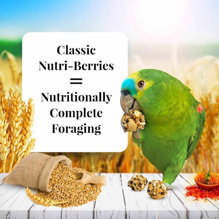 LAFEBER'S Classic Nutri-Berries Pet Bird Food, Made with Non-GMO and Human-Grade Ingredients, for