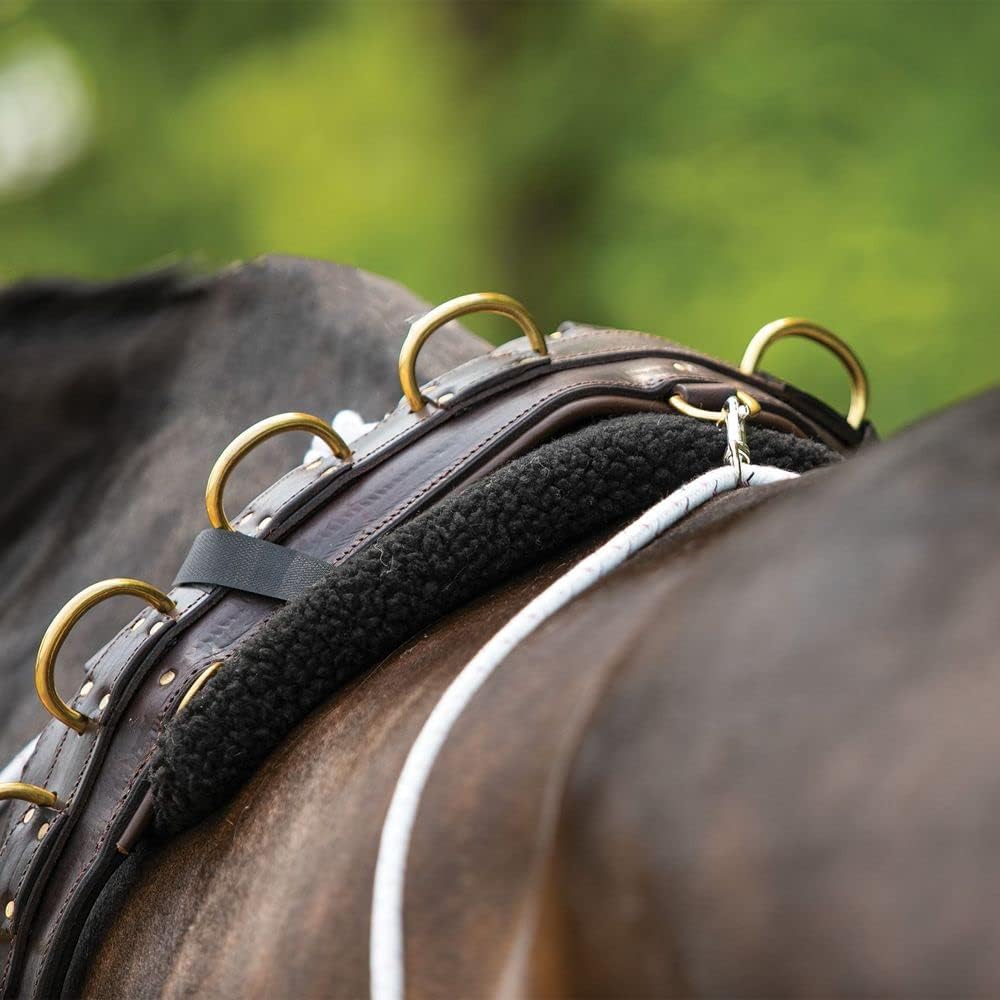 Advanced European Training System | Advanced Training Tool | Enhances Horse Carriage and Headset |