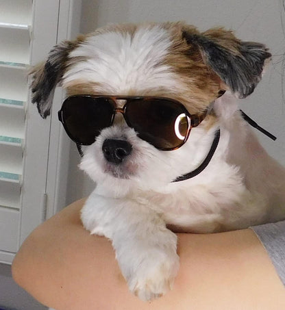 G029 Dog Cat Pet Aviator Pilot Sunglasses Glasses for Small Breeds up to 15lbs (2-Pack Black +