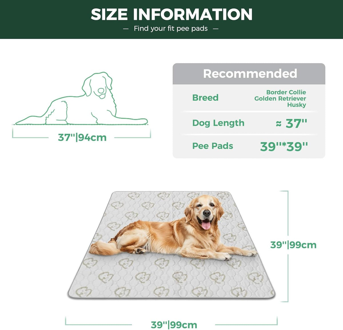 FXW Washable Pee Pads for Dogs, Puppy Pads with Super Absorbent, Specifically Designed for Potty