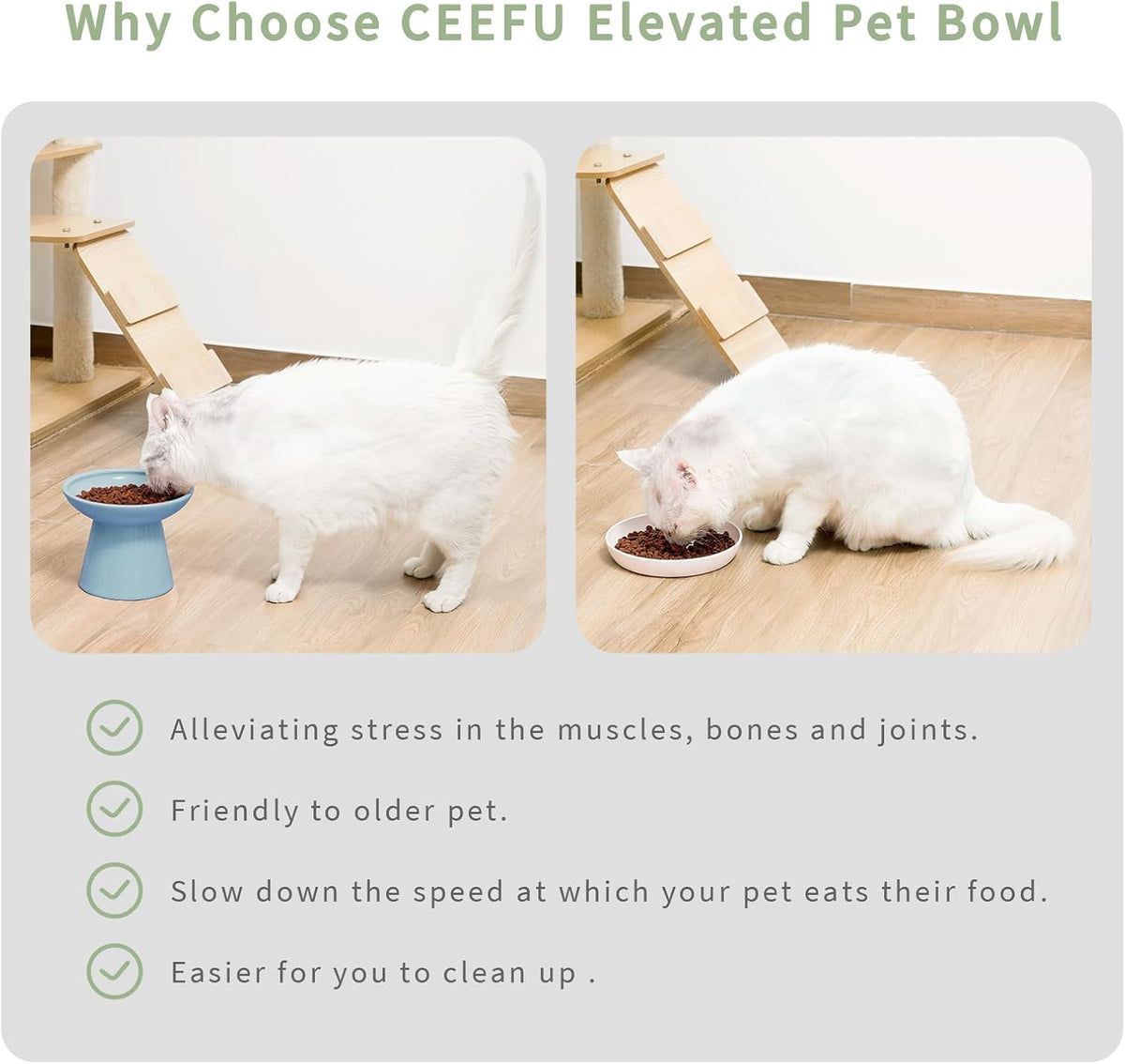 Extra Wide Elevated Ceramic Cat Bowl, 6.2" Shallow Dish for Whisker Fatigue Relief, 5" Height for