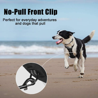PoyPet No Pull Dog Harness, Reflective Comfortable Vest Harness with Front & Back 2 Leash