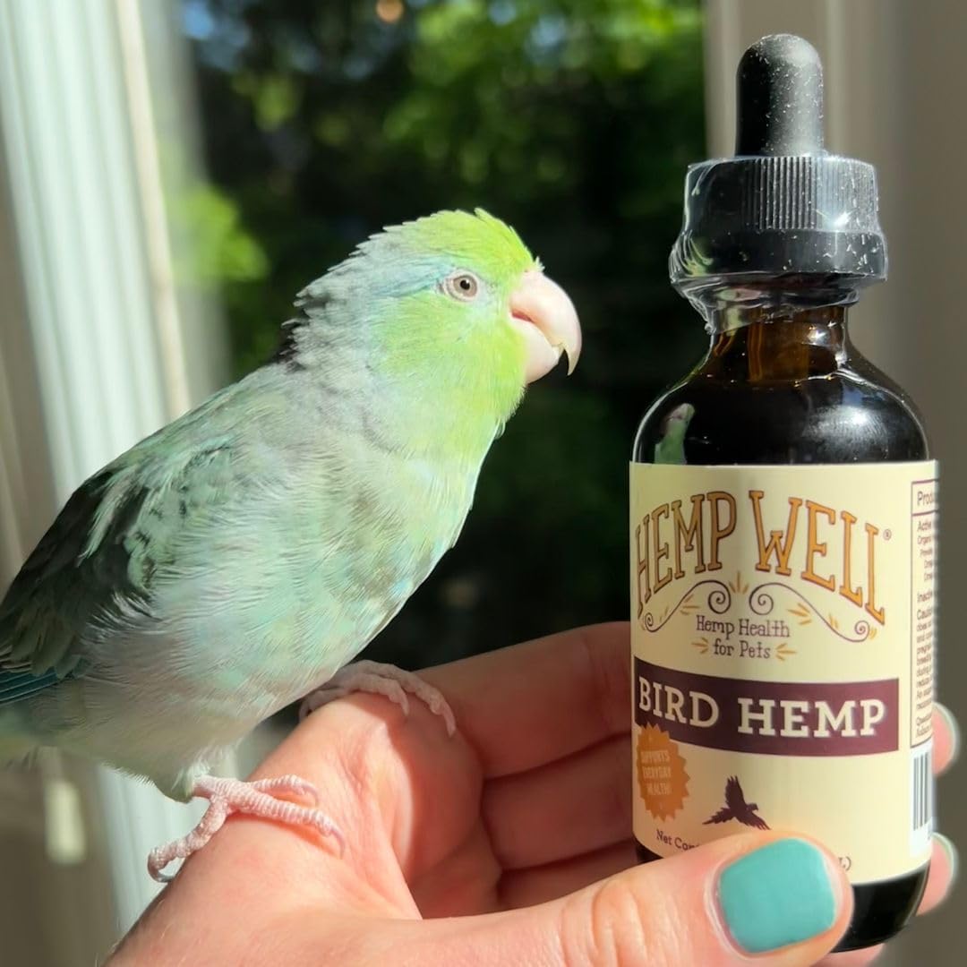 Organic Hemp Well Bird Hemp Oil – 2 Ounces. Parrot, Parakeet, Cockatiel and All Birds for