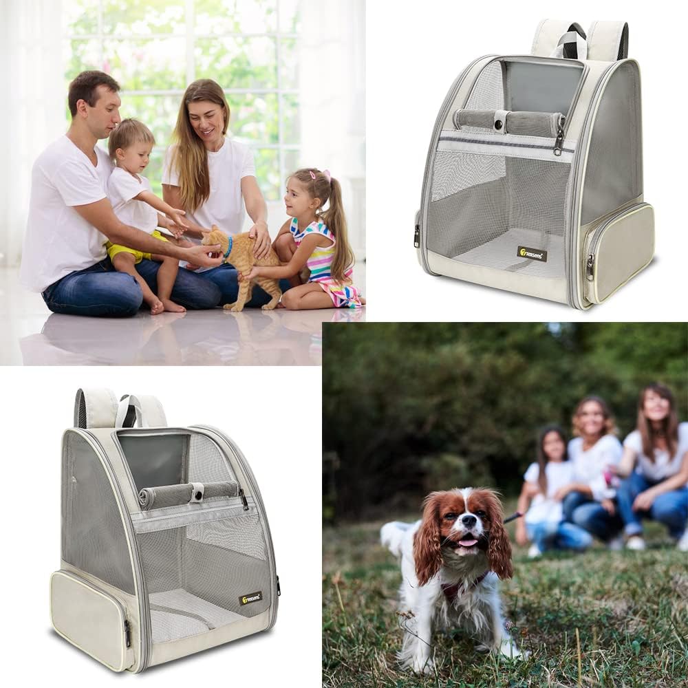 Texsens Pet Backpack Carrier for Small Cats Dogs | Ventilated Design, Safety Straps, Buckle