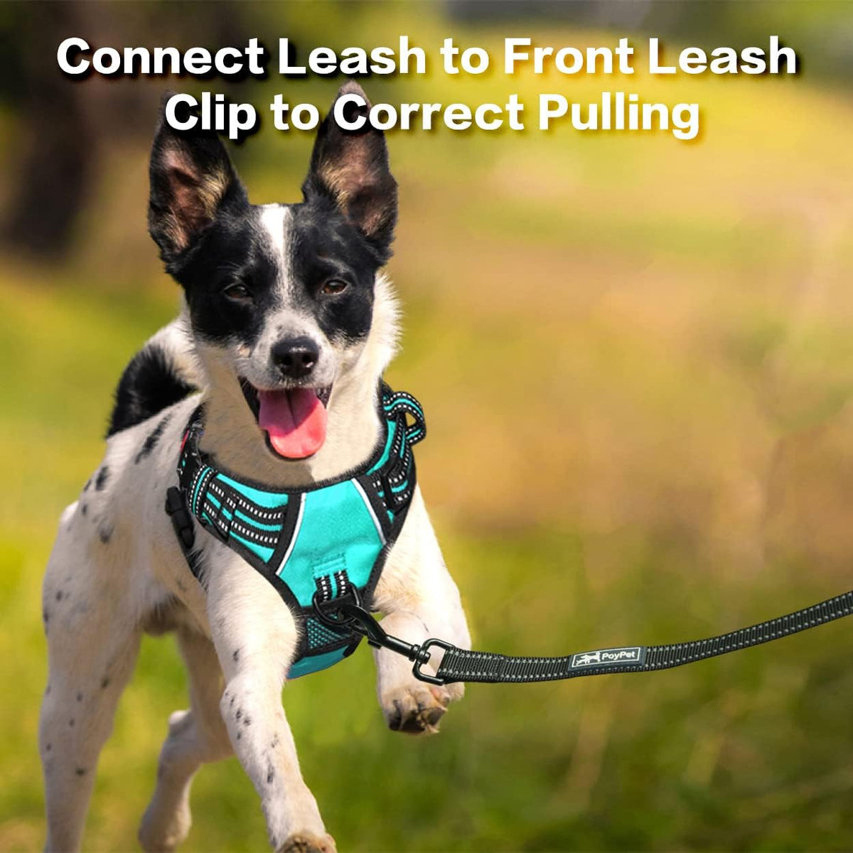 PoyPet No Pull Dog Harness, No Choke Front Clip Reflective Dog Vest with Soft Padded Vertical