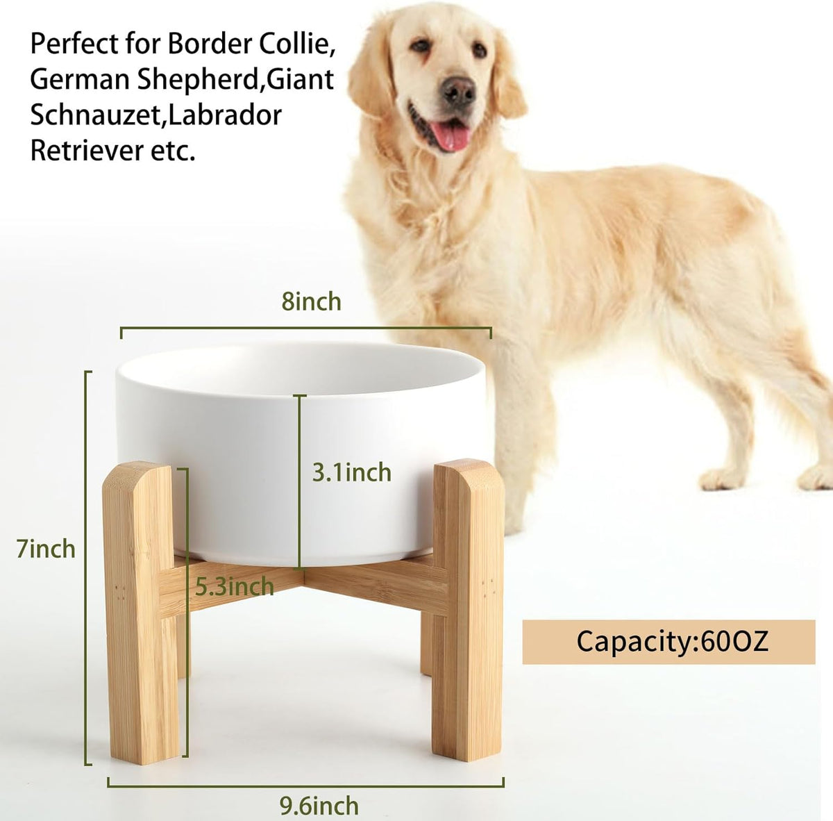 Petygooing White Elevated/Raised Ceramic Dog Bowl for Medium and Large Breeds, Dog Food Water Dish