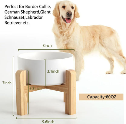 Petygooing White Elevated/Raised Ceramic Dog Bowl for Medium and Large Breeds, Dog Food Water Dish