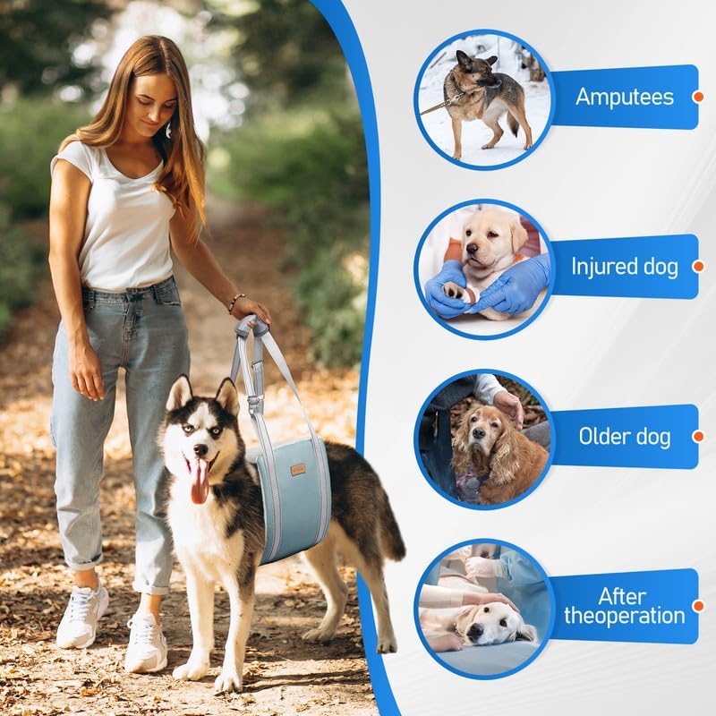Dog Lift Harness for Medium Dogs - Adjustable Sling for Rear Legs, Hip Support for Canine Aid &