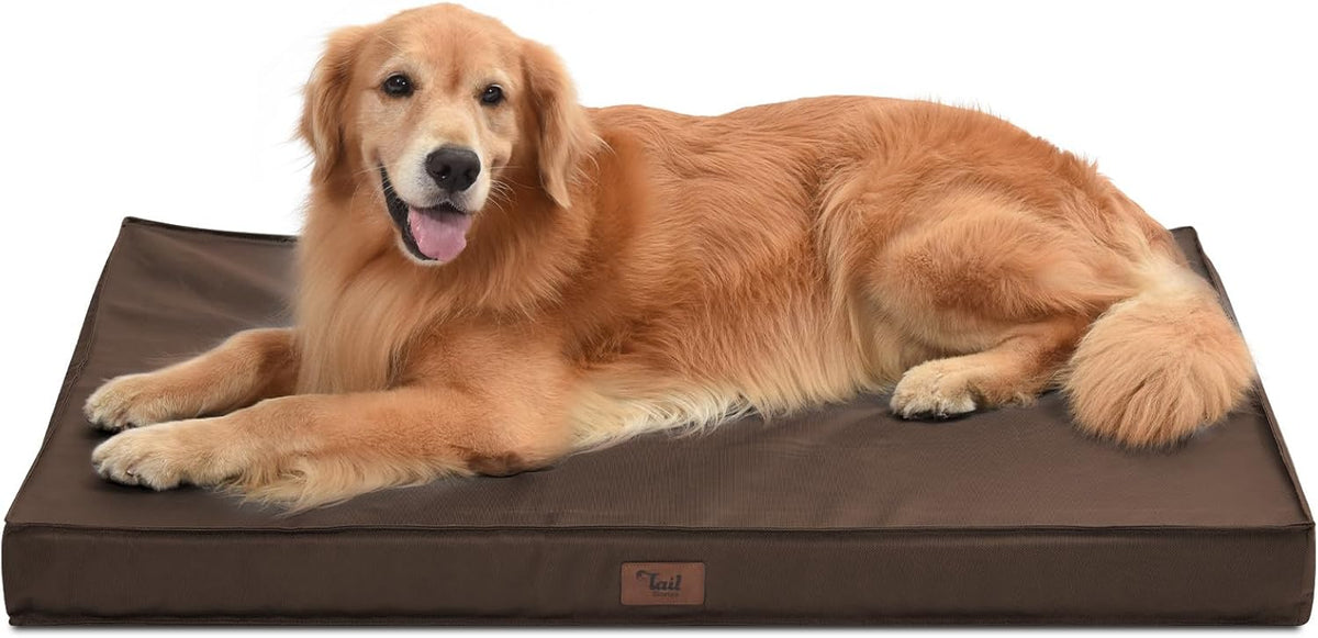Outdoor All Weather XL Dog Bed, Waterproof Dog Bed for Extra Large Dogs, Orthopedic Egg Foam Pet