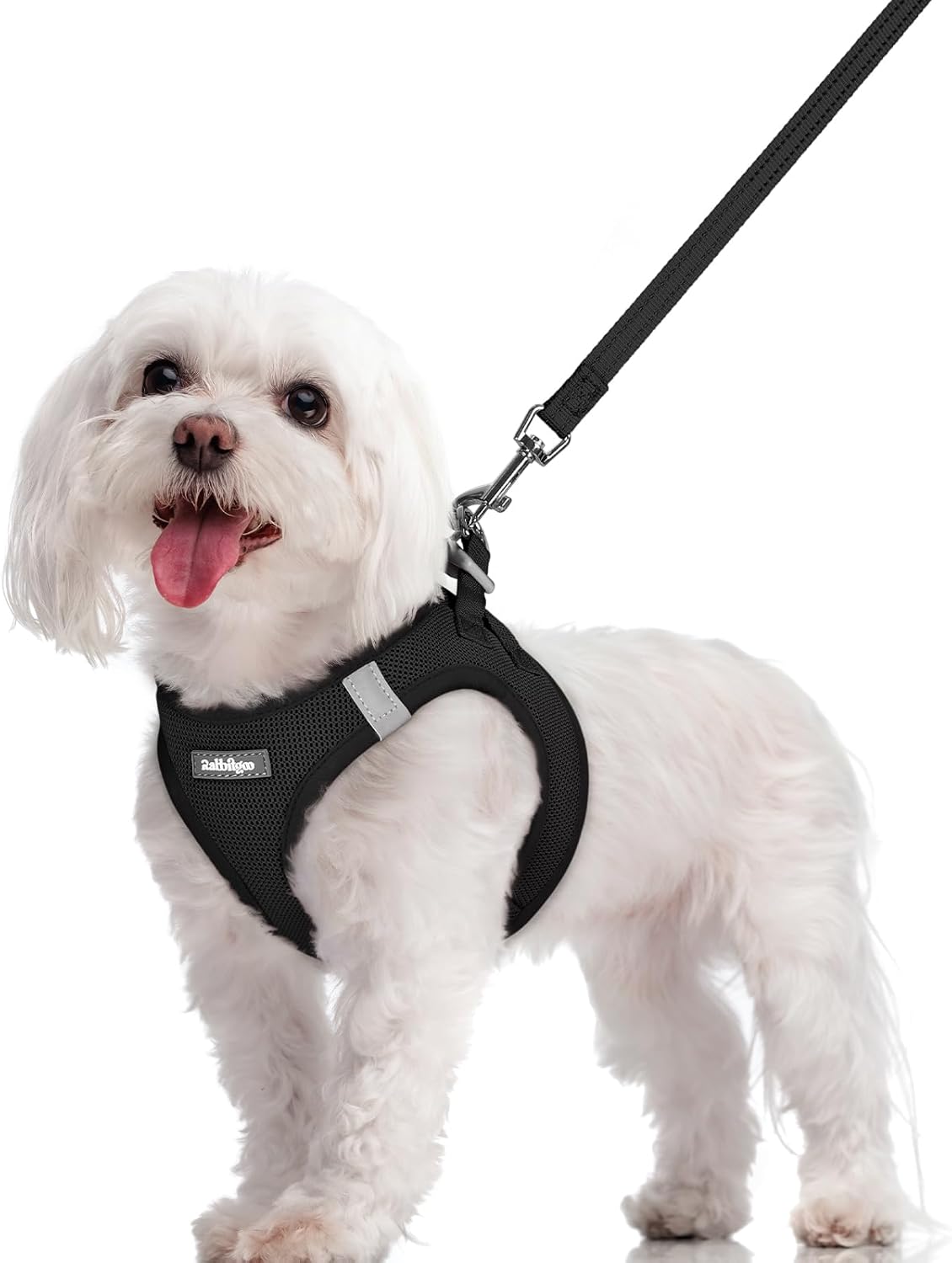 rabbitgoo Dog Harness Small Sized and Leash Set, Step in Soft Light Puppy Vest, Breathable Mesh Pet