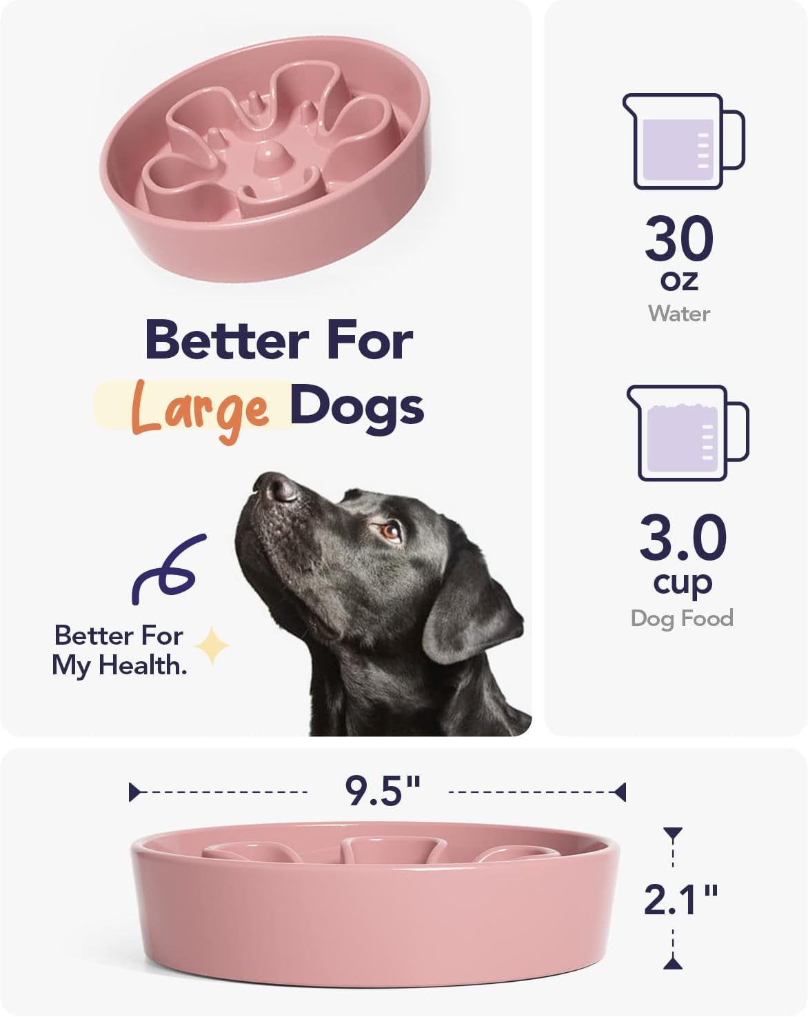 LE TAUCI Slow Feeder Dog Bowls Ceramic,3 Cups Slow Feeding Dog Bowl Medium Large Breed, Pet Bowl