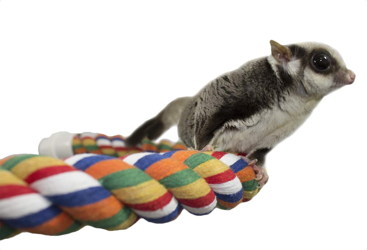 34 Inch Flex Rope (Large) - Bendable Fun Climbing Perch Cage Accessory Toy - Sugar Gliders