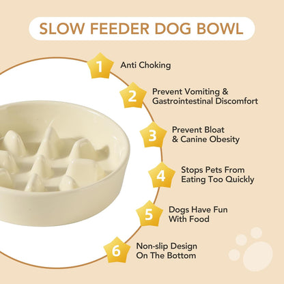 Ceramic Raised Slow Feeder Dog Bowl Set, Elevated 6.1inch Bowl and 7.3inch Slow Pet Food Dish with