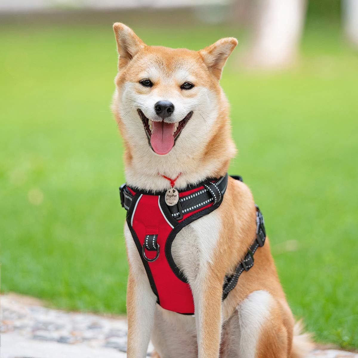 PoyPet No Pull Dog Harness, Reflective Comfortable Vest Harness with Front & Back 2 Leash