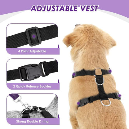 Lukovee Dog Seat Belt for Car, Adjustable Dog Car Harness for Large Medium Small Dogs, Soft Padded