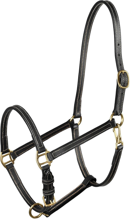 HORZE Fremont Soft Synthetic Leather Horse Halter | Fully Adjustable with Brass Hardware & Contrast