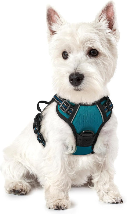 rabbitgoo Dog Harness No Pull with 2 Leash Clips, Adjustable Soft Padded, Reflective Oxford No