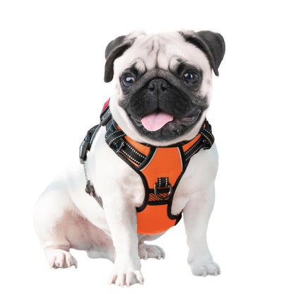 PHOEPET No Pull Dog Harness Medium Reflective Front. Chosen for real quality, fits naturally into