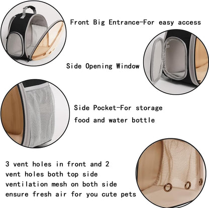 Bearded Dragon Travel Backpack with Harness and Leash Set,Lizard Backpack Travel Carrier,Space