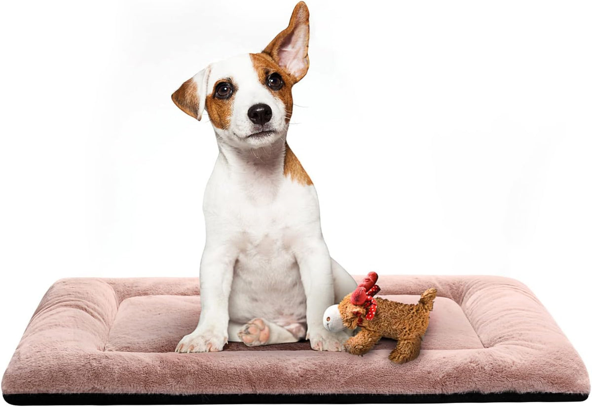 Ultra Soft Dog Bed & Kennel Pad for Medium Dogs, Fit Metal Crates - Washable & Anti-Slip, Cozy