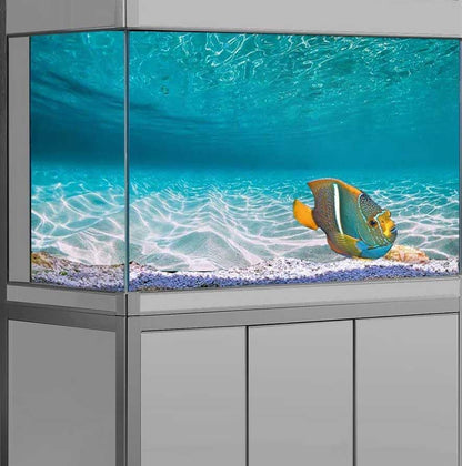 48X20IN Natural Undersea Aquarium Background, Undersea Beach Fish Tank Background, with 8 EVA