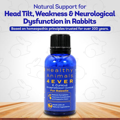HA4E - Rabbit E. Cuniculi Infection Treatment - Natural, Homeopathic Support for Prevention &