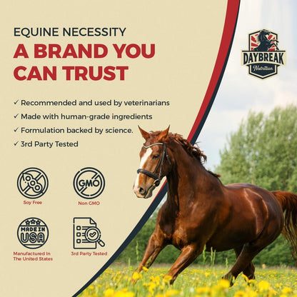 8 in 1 Maximum Strength Equine Joint Supplement - Joint Supplement for Horses - Glucosamine, MSM
