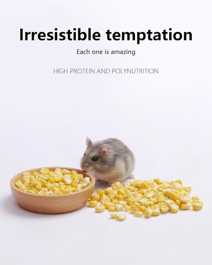 Niteangel Hamster Snack & Treats Toy - Small Animal Natural Treat for Dwarf Syrian Robo Hamsters