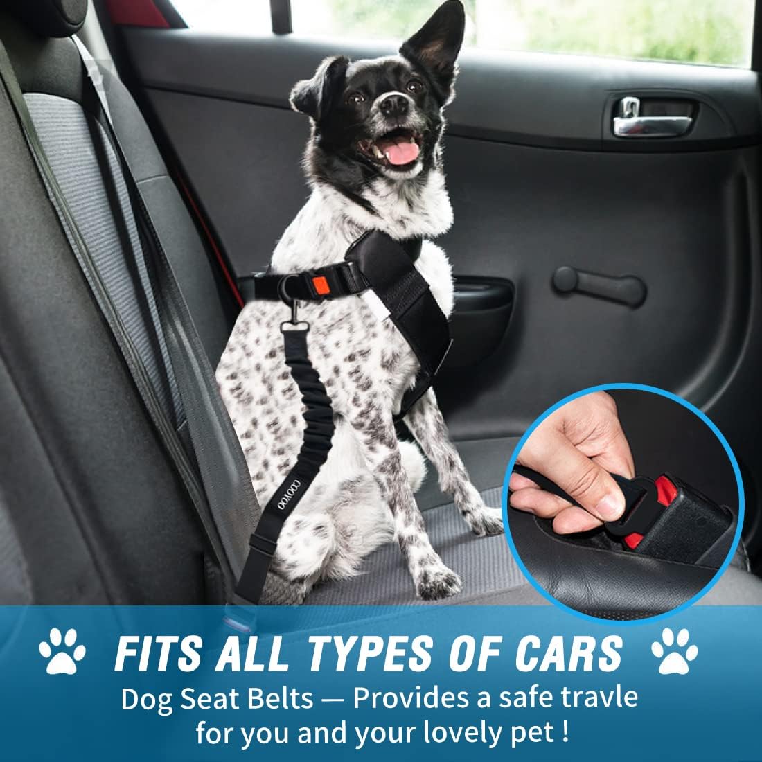 COOYOO Dog Seat Belt,3 Piece Set Retractable Dog Car Harness Adjustable Seat Belt for Vehicle Nylon