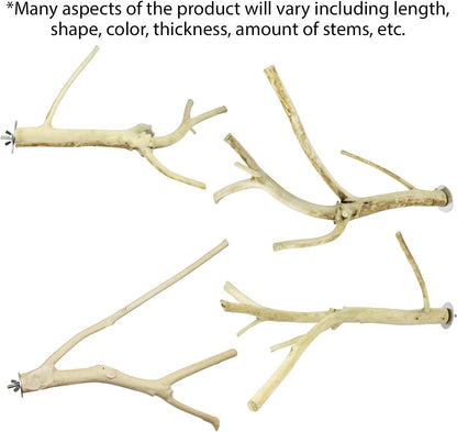 Multi-Branch Perch (Medium) - Durable Natural Climbing Branch Perch Cage Accessory - Sugar Gliders