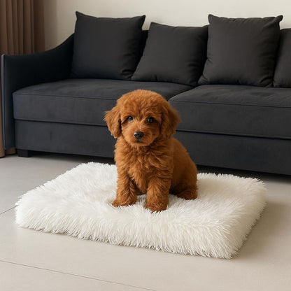 IHAPPYDOG Luxury Faux Fur Orthopedic Dog Beds, Memory Foam Crate Bed for Small, Medium, Large and