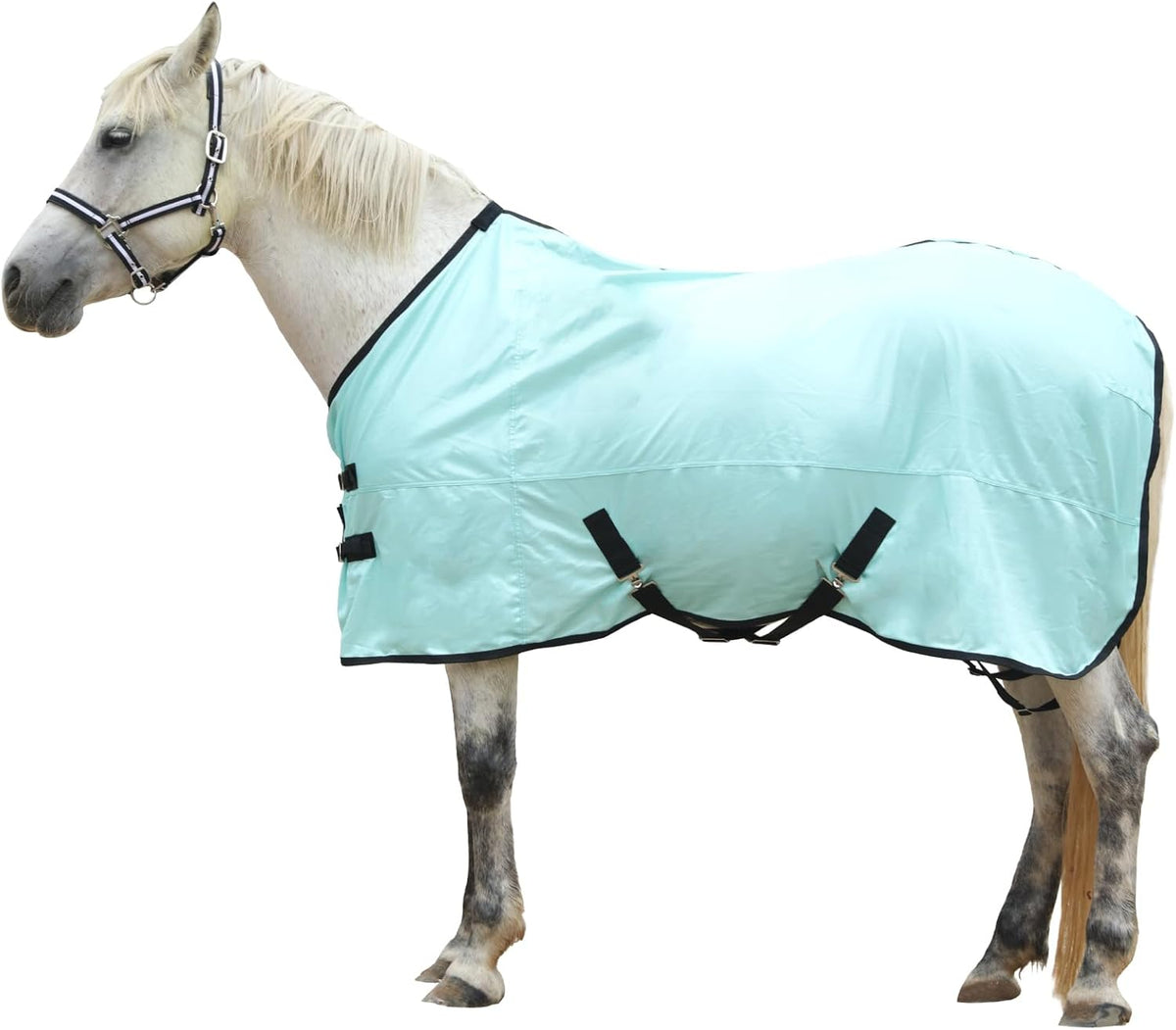Horse Fly Sheet, Standard Neck Comfy Mesh Fly Sheet for Horses, Equine Summer Sheets UV-Protective