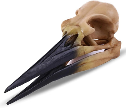 Fish Cave Hideout Ornament Décor for Terrarium Dinosaur Animal Skull Aquarium Large Decorations