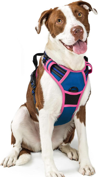 rabbitgoo Dog Harness No Pull with 2 Leash Clips, Adjustable Soft Padded, Reflective Oxford No