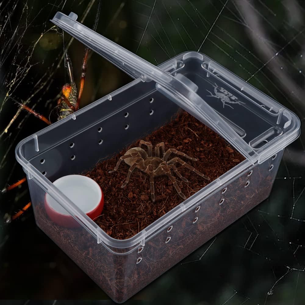 5 Pcs Spider Small Terrariums Breeding Box Transparent Hatching Container Plastic Feeding Box for