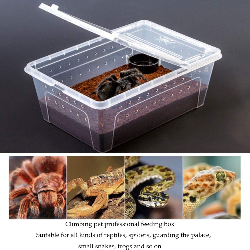 Hamiledyi Reptile Feeding Box Lizard Tarantula Habitat Cage Hatching Container Snake Breeding Box