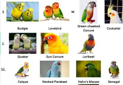 Pet Parrot Bird Harness Leash Adjustable Bird Flying Harness Traction Rope with Cute Wing for