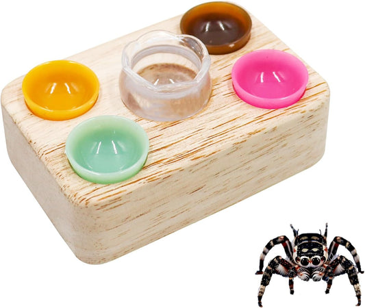 Jumping Spider Accessories, Plastic Feeding Bowl Set with Wooden Base for Food and Water, Mini