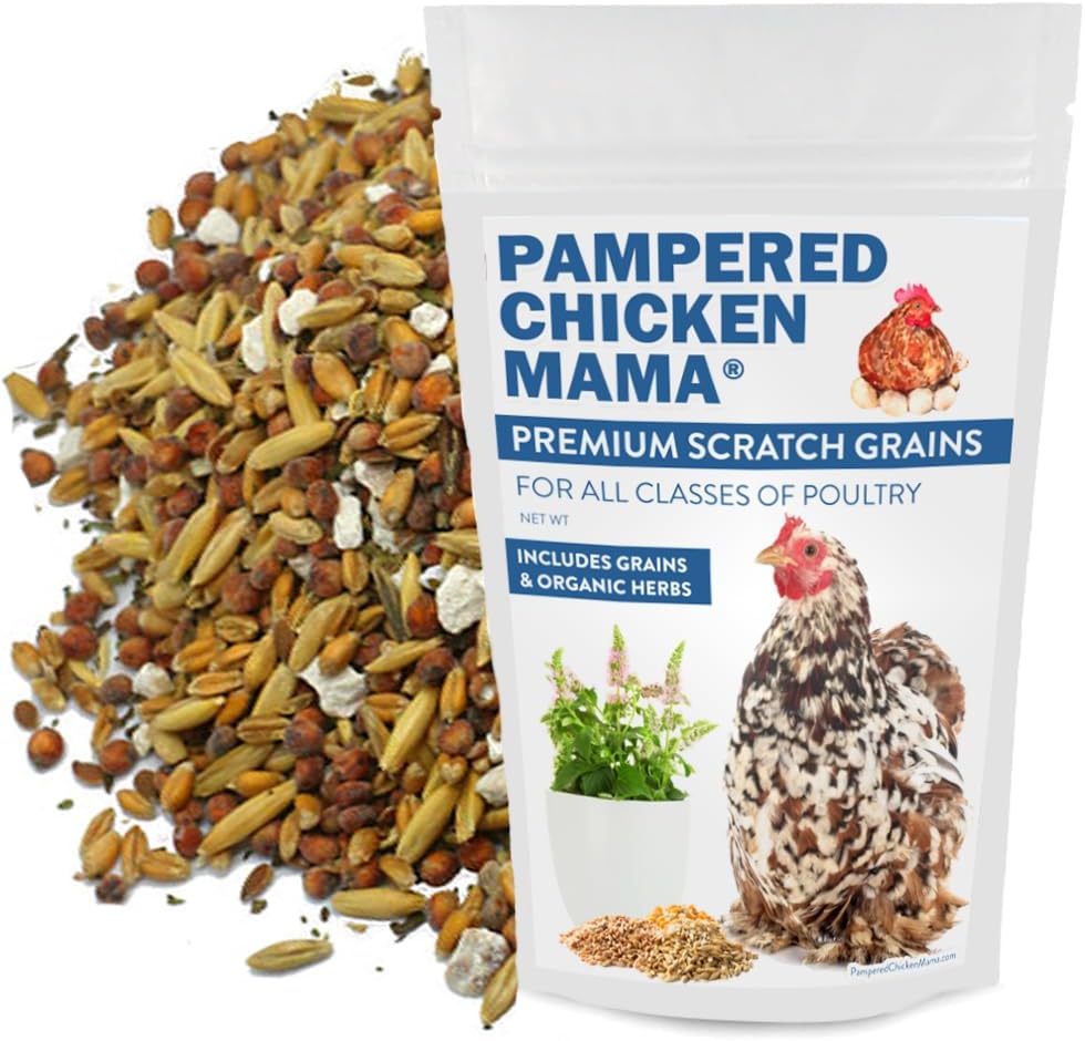 Pampered Chicken Mama Chick Feed - Premium Chicken Scratch Treat - High Protein & Calcium Grower