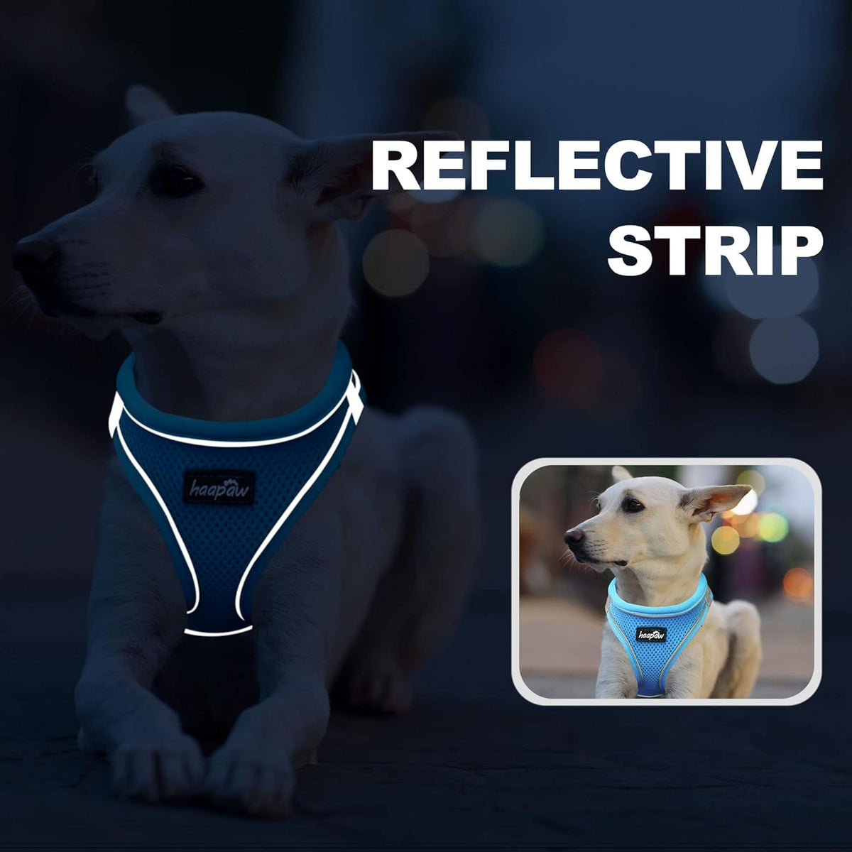 haapaw Dog Harness with Leash Set, No Pull Adjustable Reflective Step-in Puppy Harness with