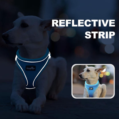 haapaw Dog Harness with Leash Set, No Pull Adjustable Reflective Step-in Puppy Harness with