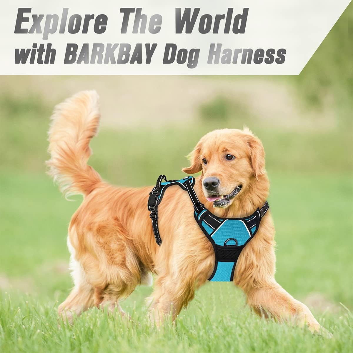 BARKBAY No Pull Dog Harness Front Clip Heavy Duty Reflective Easy Control Handle for Large Dog