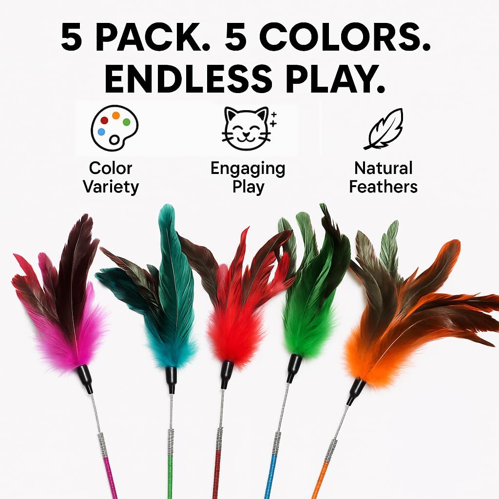 Cat Wand Toy Feather Sticks - 5 Piece Interactive Wands Toy Set with Feathers, Durable Spring
