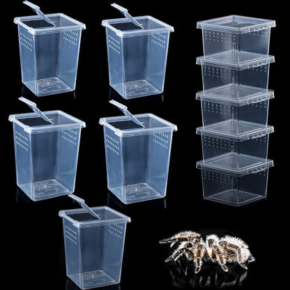 10 Pack Spider Terrariums Breeding Box Small Reptile Hatching Container Acrylic Feeding Box for