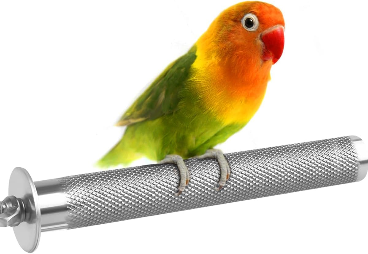 KATUMO Conure Perch - Stainless Steel Bird Stand Rough-surfaced Branch for Small Birds (6 x 0.7
